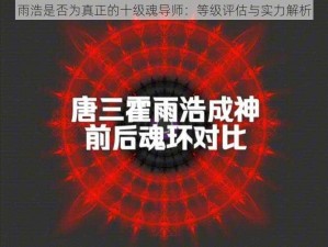 雨浩是否为真正的十级魂导师：等级评估与实力解析