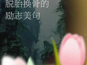 激情九月婷婷，绽放你的美丽与自信