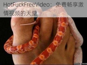 HotFuckFreeVideo：免费畅享激情视频的天堂