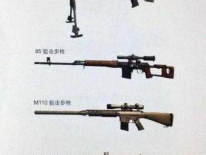 全面解析光荣使命之武器库全揭秘——全系列介绍