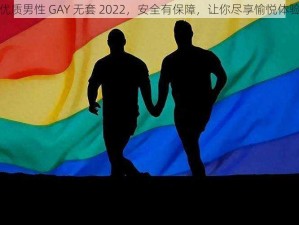 优质男性 GAY 无套 2022，安全有保障，让你尽享愉悦体验