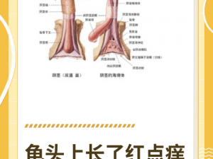 龟头上有白膜，咋回事？