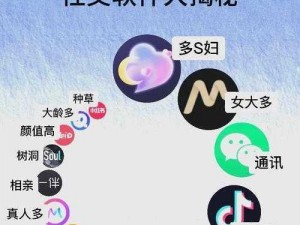 一款集聊天、交友、视频于一体的创新社交软件