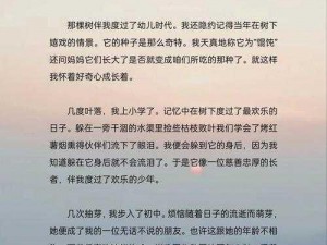 我们的大学之旅：求学生涯中的精彩瞬间与成长印记简介