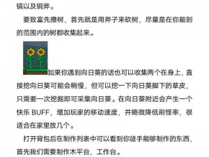 泰拉瑞亚破晓之光获取攻略：探索游戏内的秘密与任务获取神秘之光