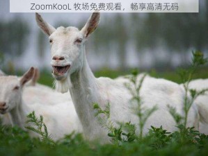 ZoomKooL 牧场免费观看，畅享高清无码