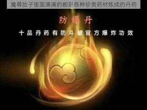 魔尊肚子里面满满的都是各种珍贵药材炼成的丹药