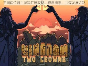 王国两位君主游戏开局攻略：双君携手，共谋发展之路