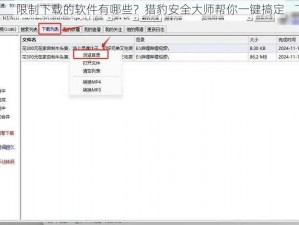 限制下载的软件有哪些？猎豹安全大师帮你一键搞定