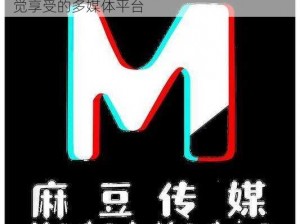 麻豆画精品传媒 2021 免费：带来高品质视觉享受的多媒体平台