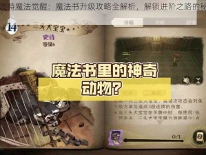 哈利波特魔法觉醒：魔法书升级攻略全解析，解锁进阶之路的秘籍指南