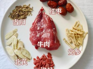 凌云诺秘制当归生姜牛肉汤：美味制作配方分享