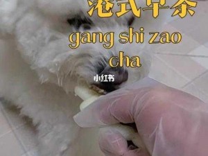 探索人狗胶配方大全免费天气预报-探索人狗胶配方大全及免费天气预报