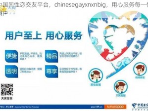 中国同性恋交友平台，chinesegayxnxnbig，用心服务每一位用户