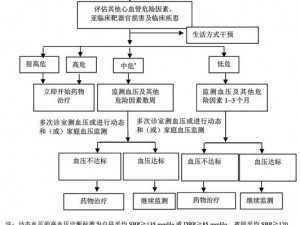 探索荣耀使命：药品合理使用策略及详解指南