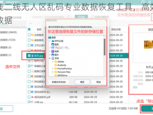 一线二线无人区乱码专业数据恢复工具，高效恢复数据