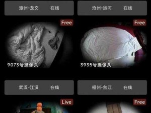 盗摄山东老妇性 A 片：窥探隐私的色情产品