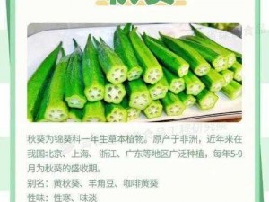 新鲜采摘，营养丰富的草莓菠萝黄瓜榴莲秋葵大全，满足您对健康美味的追求