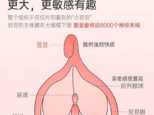 女 m 自述被调教过程——极致私密快感体验