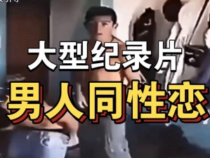 国产 18-19 男同 Gay 片：探索男性之间情感与欲望的青春故事