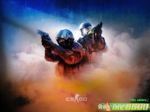 CSGO高清在线观看免费最新版(CSGO 高清在线观看免费最新版，畅享刺激战斗)