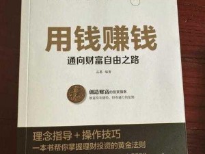 赚钱攻略视频教程：轻松掌握财富增长秘诀，零基础也能赢在起跑线