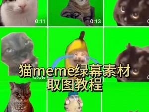 后mememe视频完整版在线观看(如何在线观看后 mememe 视频完整版？)