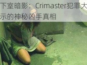 地下室暗影：Crimaster犯罪大师揭示的神秘凶手真相