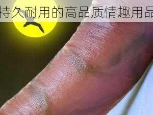 欧美做受   高潮 95：持久耐用的高品质情趣用品