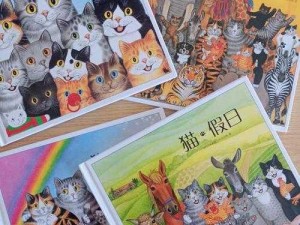 探索猫之城的秘密：猫屋功能与实用作用详览