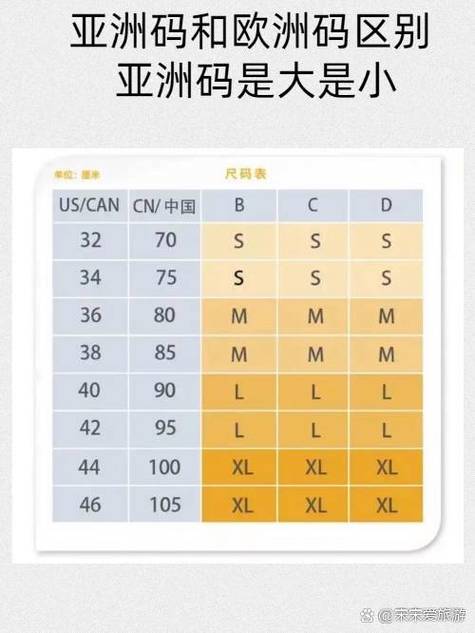 亚洲和欧洲一码二码区哪，涵盖热门影视作品，满足不同用户的需求