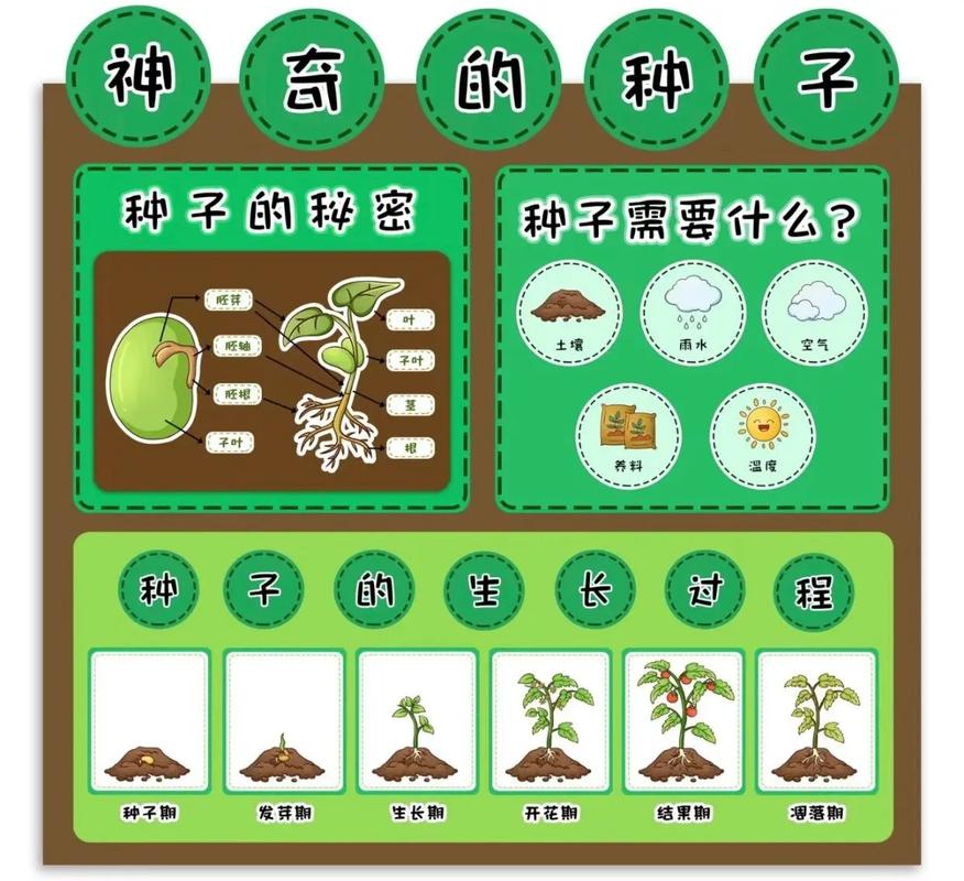 探索植物世界的起点——种子天堂的奥秘