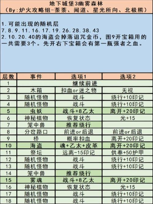 地下城堡3魂之诗：深度解析11副本通关攻略秘籍