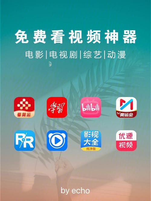 菠萝蜜视频在线观看入口视频，是一款提供各类视频资源的 APP，内容涵盖电影、电视剧、综艺节目、动漫等