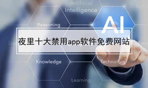 100 款夜间禁用 app 下载网站，汇聚热门 app，安全放心下载