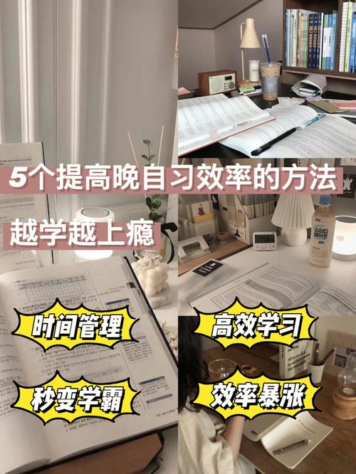 一款能够提高学习效率的辅助工具——坐在学长的根茎写作业