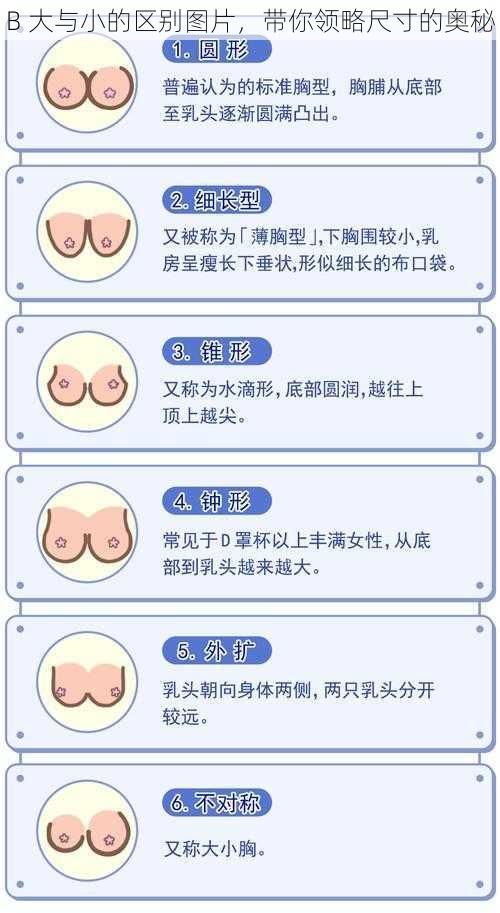 B 大与小的区别图片，带你领略尺寸的奥秘