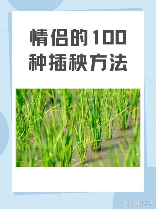 情侣的 30 种插秧法图片及使用指南