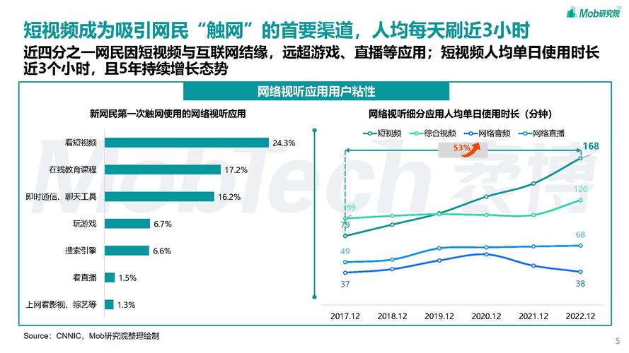 全球最大的短视频网站，拥有独特的算法和海量的视频内容，满足用户的个性化需求