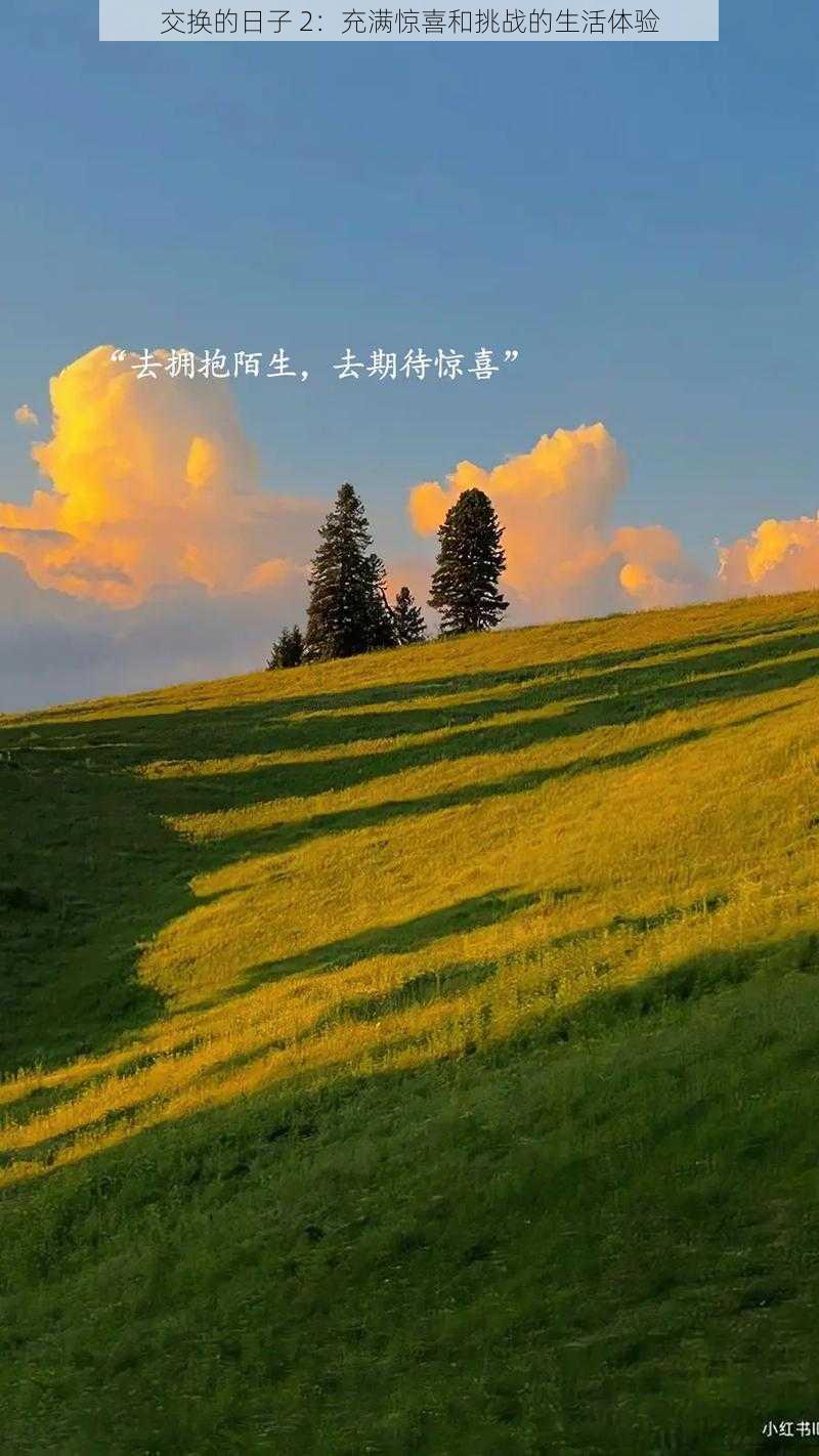 交换的日子 2：充满惊喜和挑战的生活体验