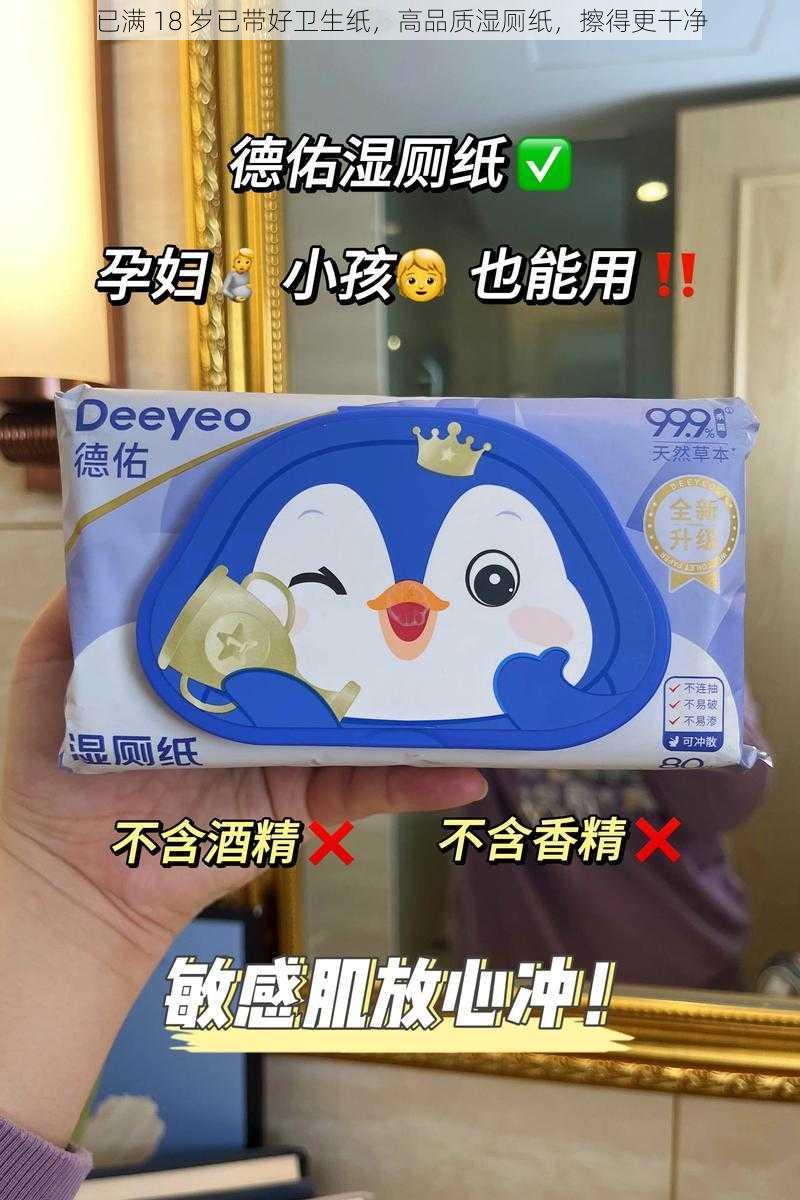 已满 18 岁已带好卫生纸，高品质湿厕纸，擦得更干净