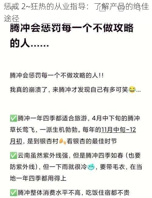 惩戒 2~狂热的从业指导：了解产品的绝佳途径