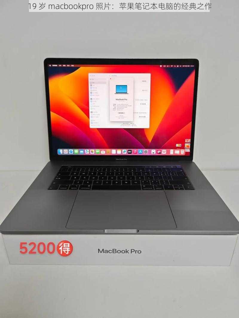 19 岁 macbookpro 照片：苹果笔记本电脑的经典之作