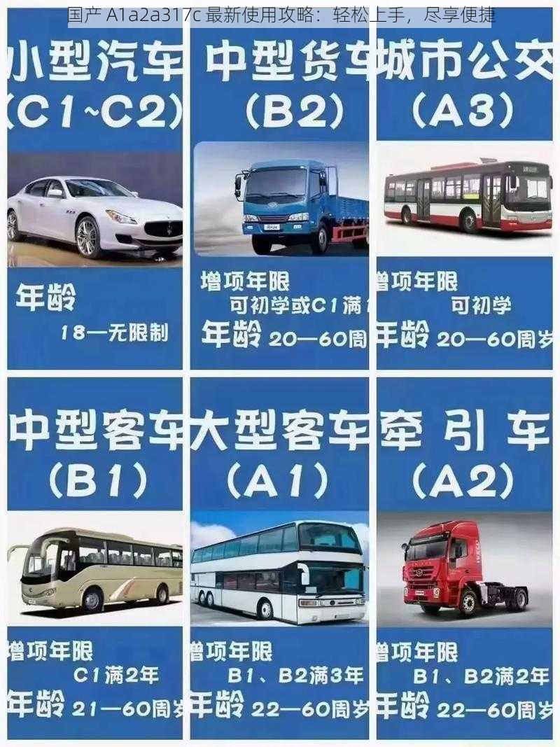 国产 A1a2a317c 最新使用攻略：轻松上手，尽享便捷