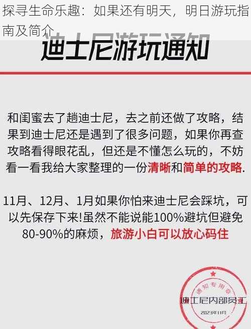 探寻生命乐趣：如果还有明天，明日游玩指南及简介