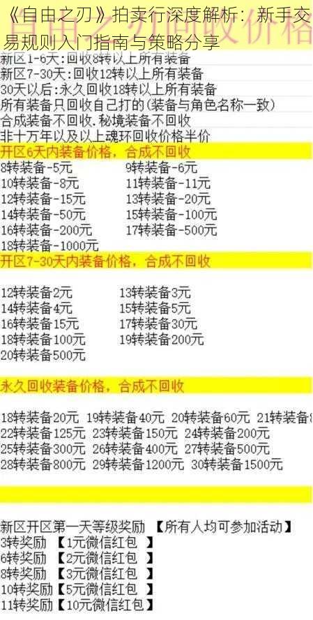 《自由之刃》拍卖行深度解析：新手交易规则入门指南与策略分享