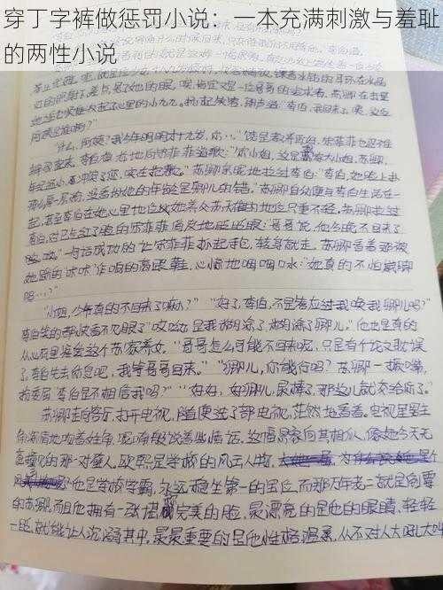 穿丁字裤做惩罚小说：一本充满刺激与羞耻的两性小说