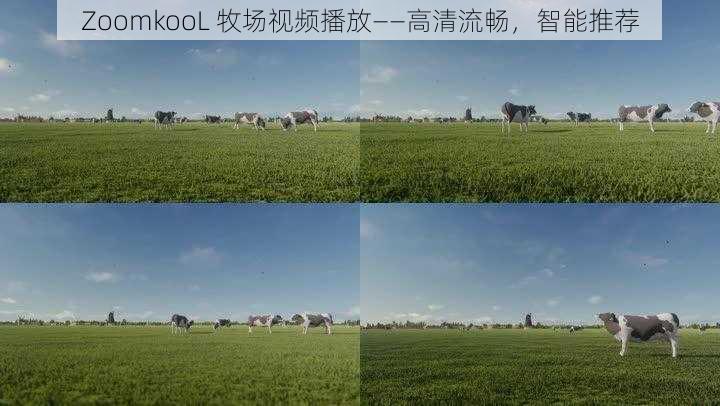 ZoomkooL 牧场视频播放——高清流畅，智能推荐