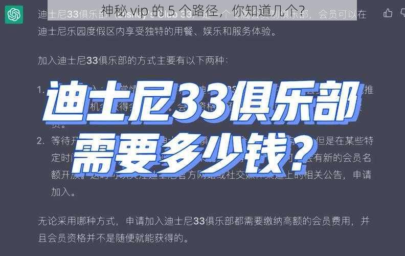 神秘 vip 的 5 个路径，你知道几个？