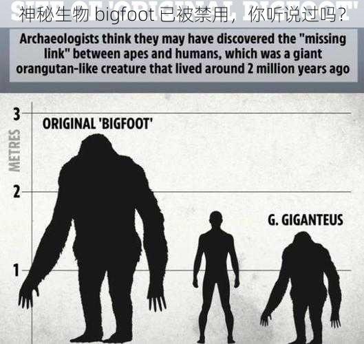 神秘生物 bigfoot 已被禁用，你听说过吗？